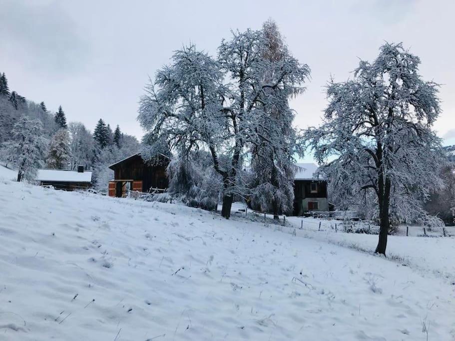 Le Chalet De Bemont Villa Samoens Ngoại thất bức ảnh